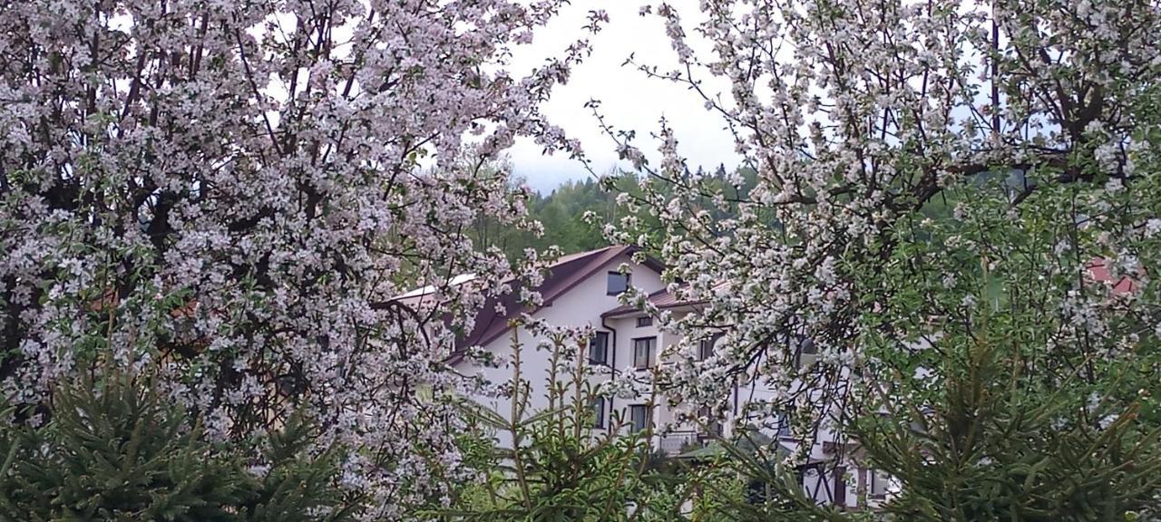 Pokoje U Solany Villa Knurow  Exteriör bild