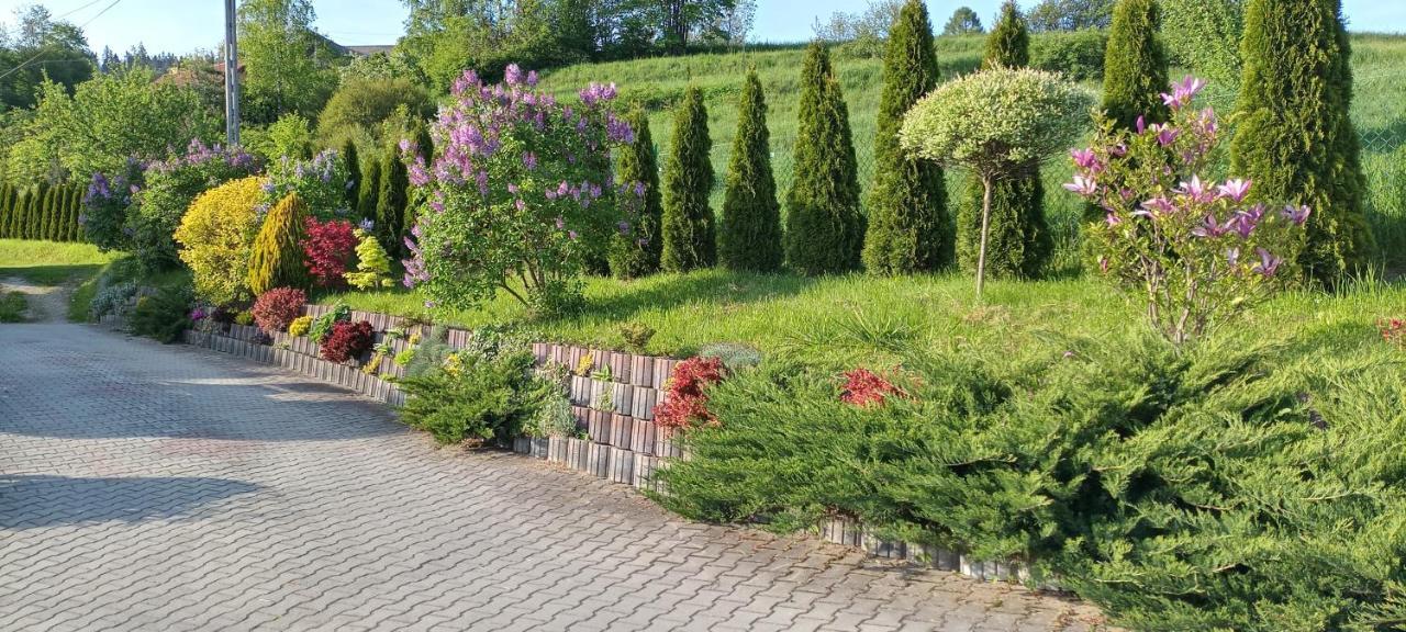 Pokoje U Solany Knurow  Exteriör bild